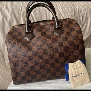 Louis Vuitton Speedy 25 in Damier Ebene